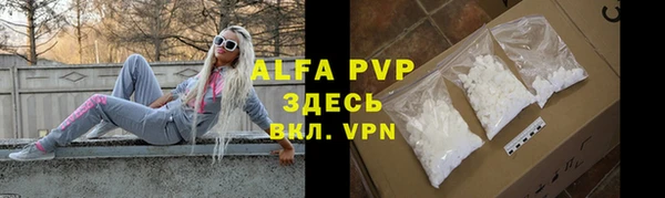 круглые Белокуриха
