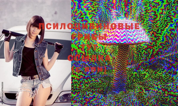 круглые Белокуриха
