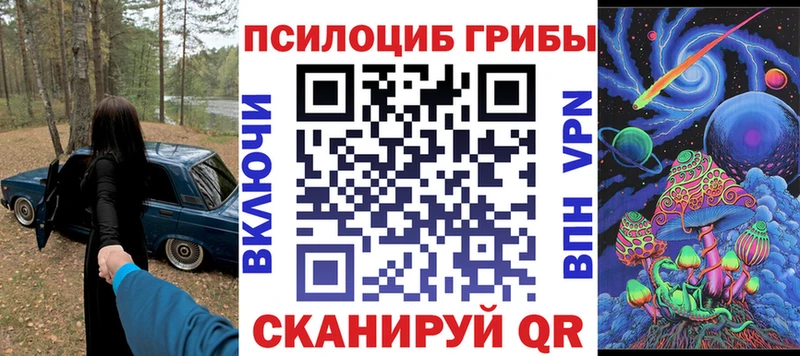 как найти наркотики  Ейск  Псилоцибиновые грибы Psilocybe 